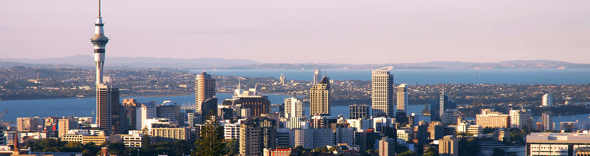 Search and compare cheap flights from Dunedin to Auckland