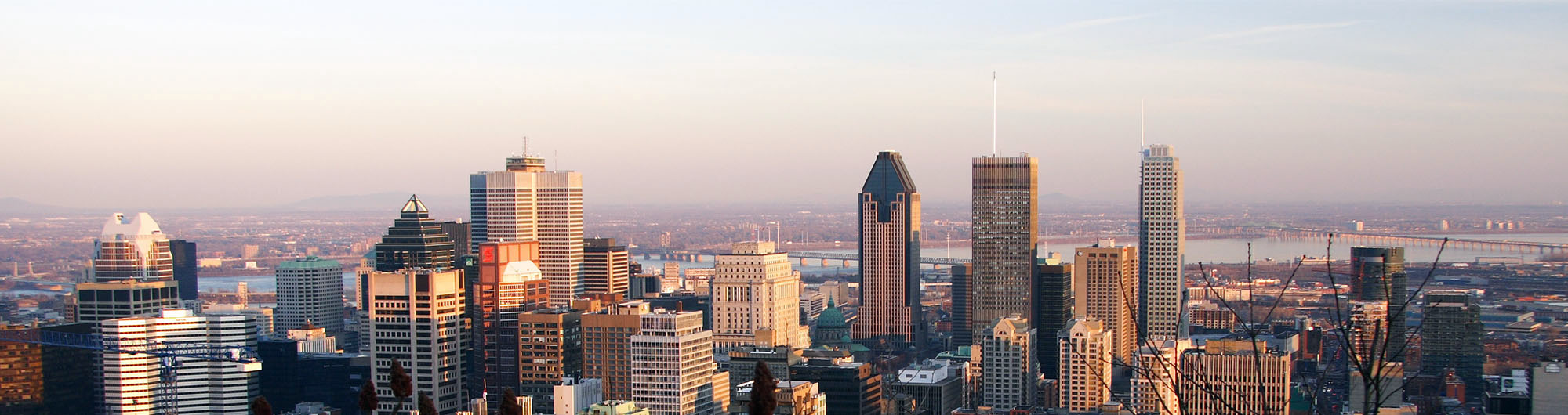 Search and compare cheap flights from Toronto to Montréal