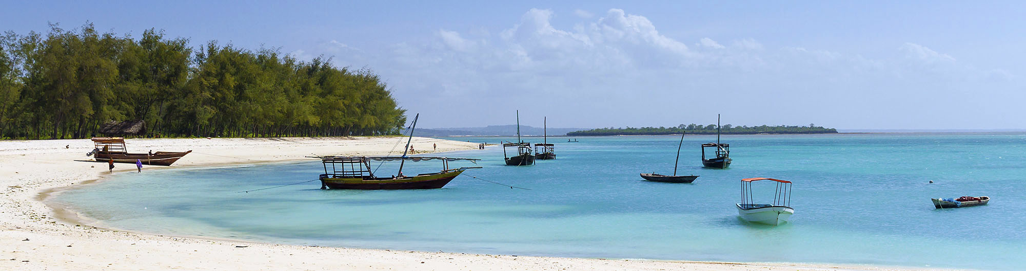Search and compare cheap flights from Arusha to Zanzibar