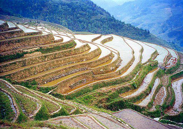 Things to Do in China: Longji Terraced Fields.