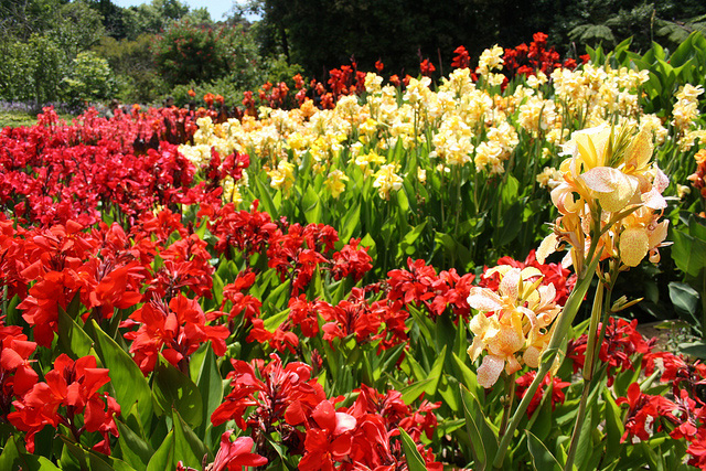 Melbourne Royal Botanic Garden