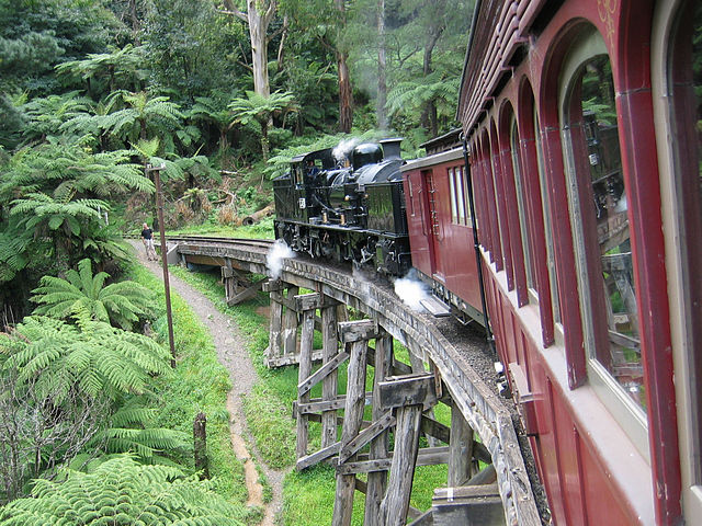 Puffing Billy Train Ride.