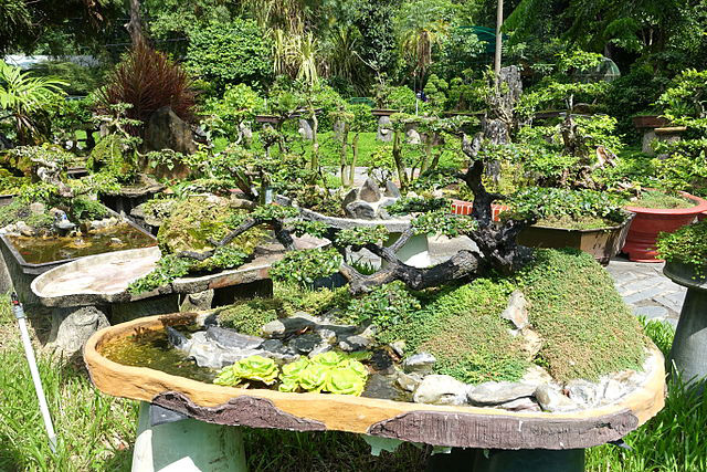 Saigon Zoo and Botanical Gardens.