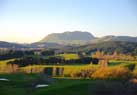 New Zealand Day Trip Activities / Guided Tours