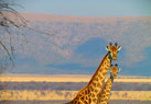South Africa Tour and Travel Packages