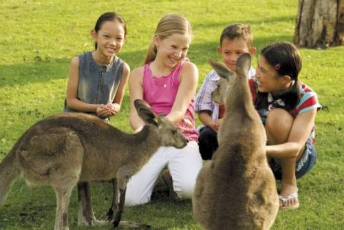 Australia Tour Package from ASA Holidays