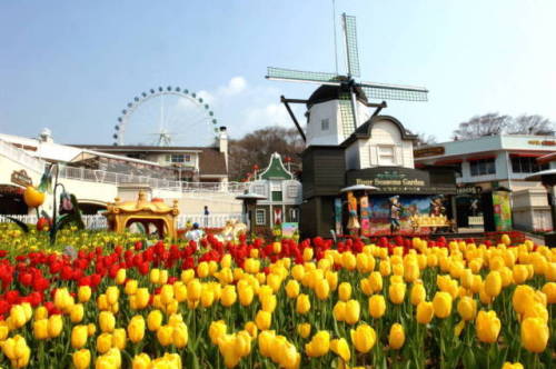 Korea Tour Package from ASA Holidays