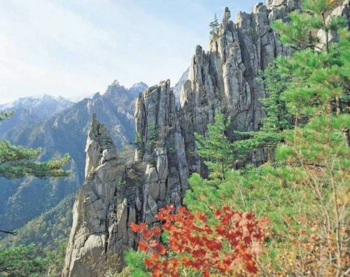 Korea Tour Package from ASA Holidays