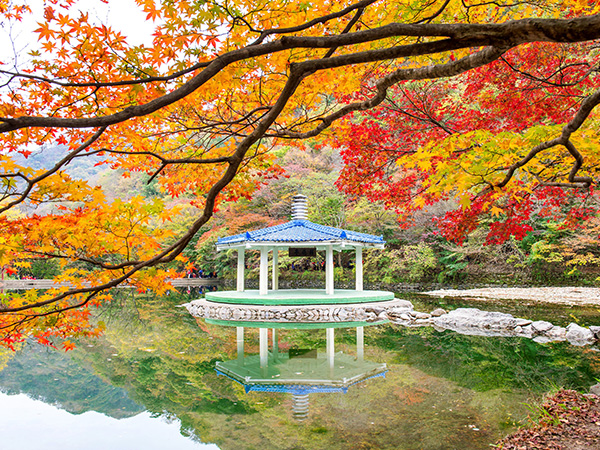 Korea Tour Package from Asia Global Vacation