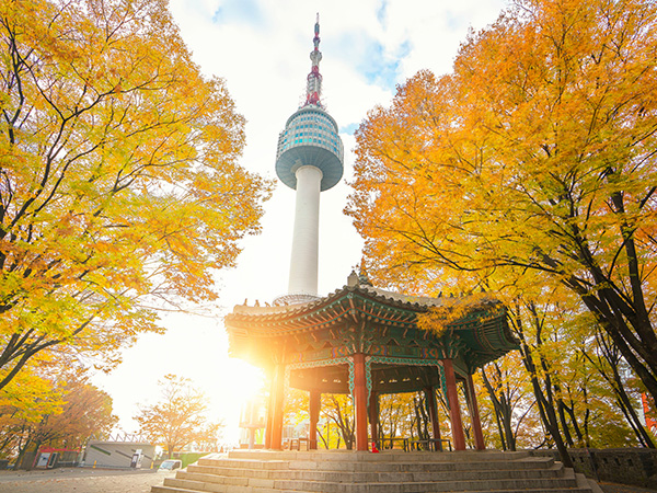 Korea Tour Package from Asia Global Vacation