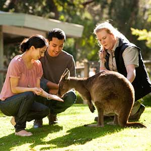 Australia Tour Package from Chan's World Holidays