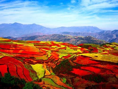 China Tour Package from Chan Brothers Travel