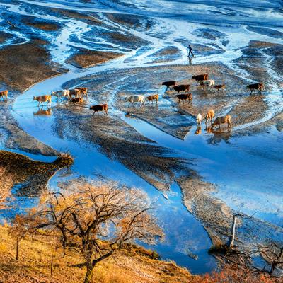 China Tour Package from Chan Brothers Travel