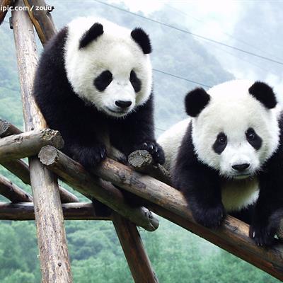China Tour Package from Chan Brothers Travel