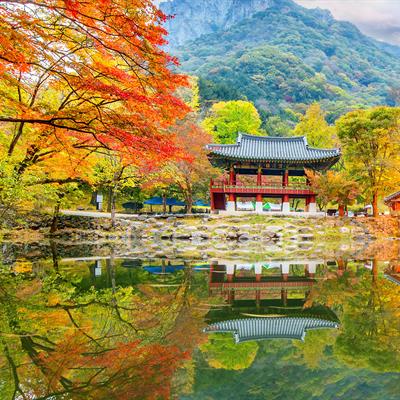 Korea Free & Easy Package from Chan Brothers Travel