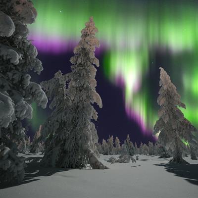 10D9N Northern Lights of Scandinavia by Insight Vacations from Chan Brothers