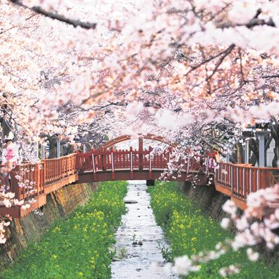 Korea Free & Easy Package from Chan Brothers Travel
