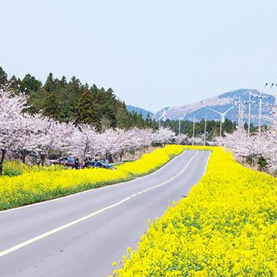 Korea Free & Easy Package from Chan Brothers Travel