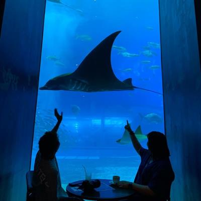 6d5n Okinawa Paradise By Jetstar Direct Flight From Chan Brothers Travel