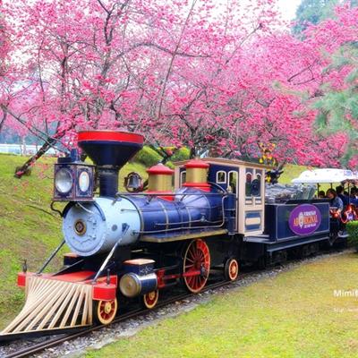 Taiwan Tour Package from Chan Brothers Travel