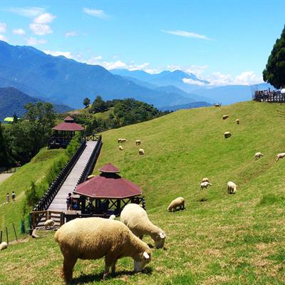 Taiwan Tour Package from Chan Brothers Travel