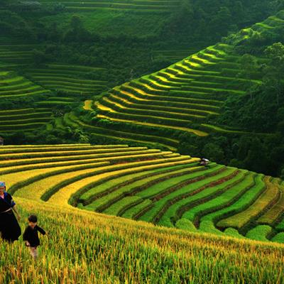 Vietnam Tour Package from Chan Brothers Travel