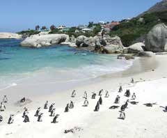 South Africa Tour Package from Chan Brothers Travel
