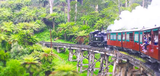 Australia Land Tour from C&E Holidays