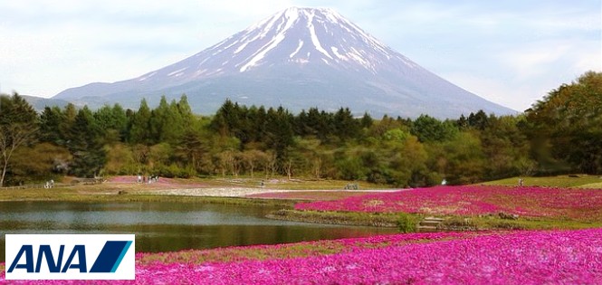 Ana Japan Tour Package Ana Japan Tour Package