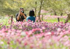 Australia Land Tour from CTC Travel