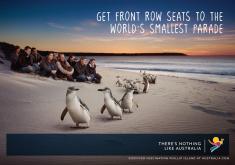 Australia Land Tour from CTC Travel