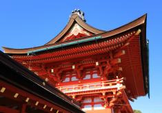 Japan Land Tour from CTC Travel