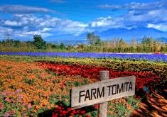 Japan Tour Package from CTC Travel
