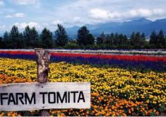 Japan Land Tour from CTC Travel