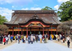 Japan Land Tour from CTC Travel