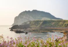 Korea Land Tour from CTC Travel