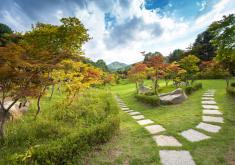 Korea Tour Package from CTC Travel