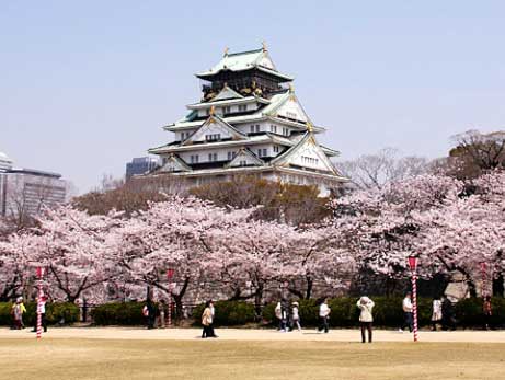 Japan Free & Easy Package from Green Holidays