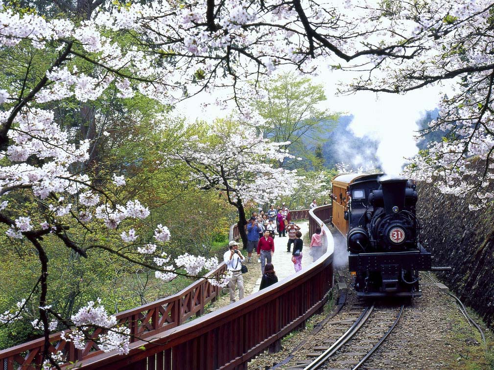Taiwan Tour Package from Green Holidays