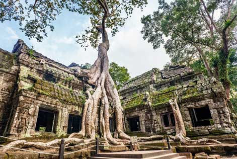 Cambodia Land Tour from Lokopoko