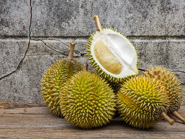 Malaysia Tour Package from Nam Ho Travel