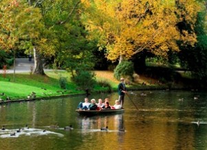 New Zealand Free & Easy Package from SA Tours