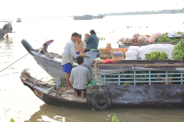 Vietnam Activity from Viator