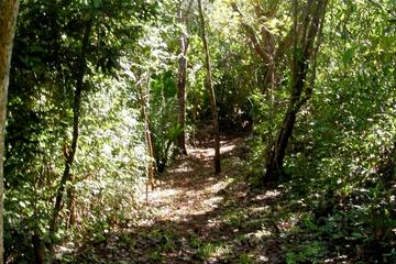 Costa Rica Activity from Viator