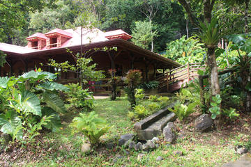 Guadeloupe Activity from Viator