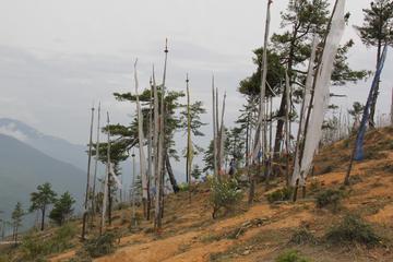 Bhutan Activity from Viator