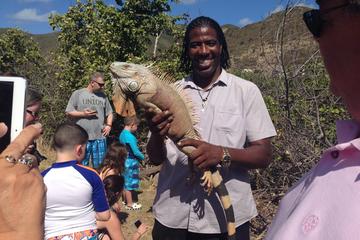 Sint Maarten Activity from Viator
