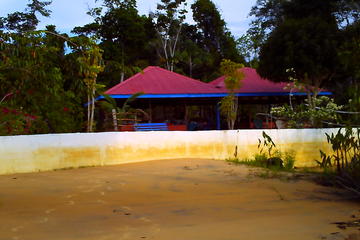 Guyana Activity from Viator