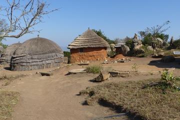 Swaziland Activity from Viator
