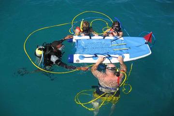 Sint Maarten Activity from Viator